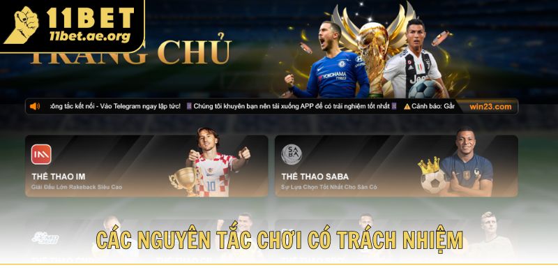 Các nguyên tắc nền tảng để thực hiện chơi có trách nhiệm