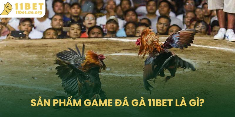 Sản phẩm game đá gà 11bet là gì?