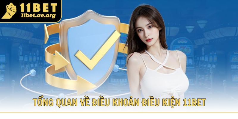 Tổng quan về điều khoản điều kiện khi tham gia 11bet